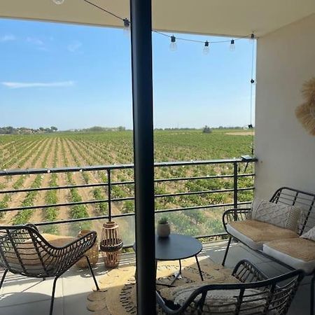 Appartement Vue Vigne Perpignan Luaran gambar