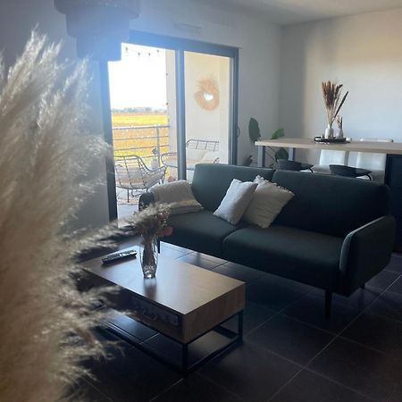 Appartement Vue Vigne Perpignan Luaran gambar