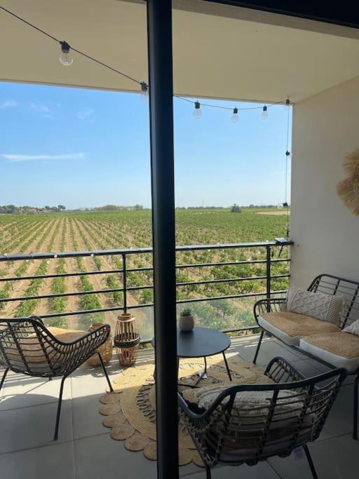 Appartement Vue Vigne Perpignan Luaran gambar
